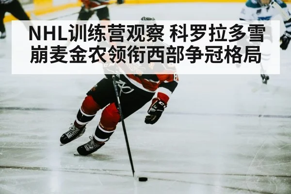 hockey player skating