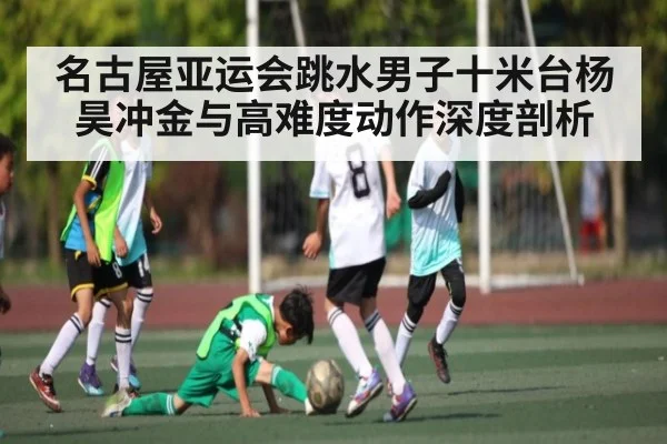 名古屋亚运会跳水男子十米台杨昊冲金与高难度动作深度剖析